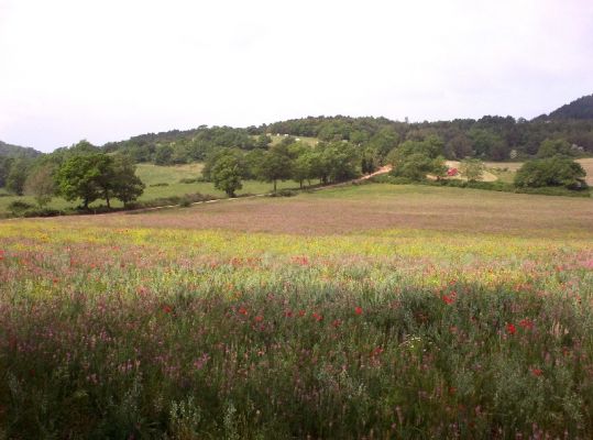 Premi aqui per a veure la imatge a grand�ria completa