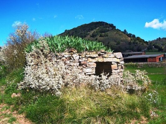 Premi aqui per a veure la imatge a grand�ria completa