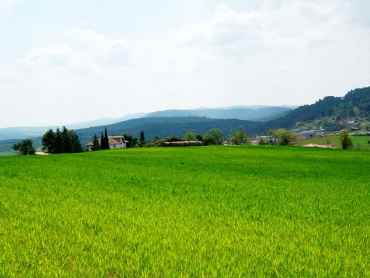 Premi aqui per a veure la imatge a grand�ria completa