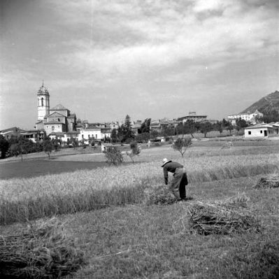 Premi aqui per a veure la imatge a grand�ria completa