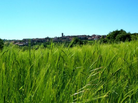 Premi aqui per a veure la imatge a grand�ria completa