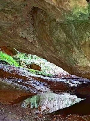 Premi aqui per a veure la imatge a grand�ria completa