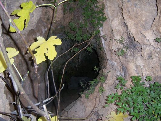 Premi aqui per a veure la imatge a grand�ria completa