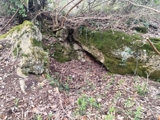 Premi aqui per a veure la imatge a grand�ria completa