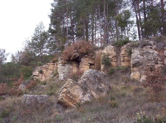 Premi aqui per a veure la imatge a grand�ria completa