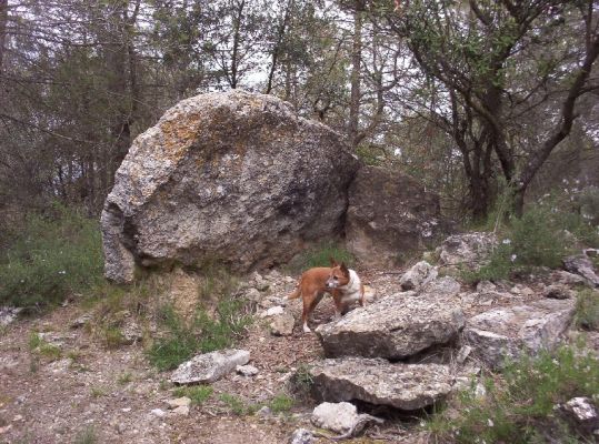 Premi aqui per a veure la imatge a grand�ria completa