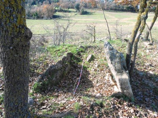 Premi aqui per a veure la imatge a grandària completa