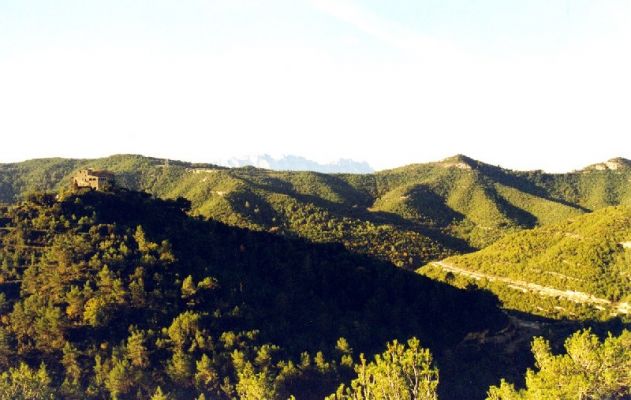 Premi aqui per a veure la imatge a grand�ria completa