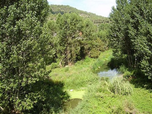 Premi aqui per a veure la imatge a grand�ria completa