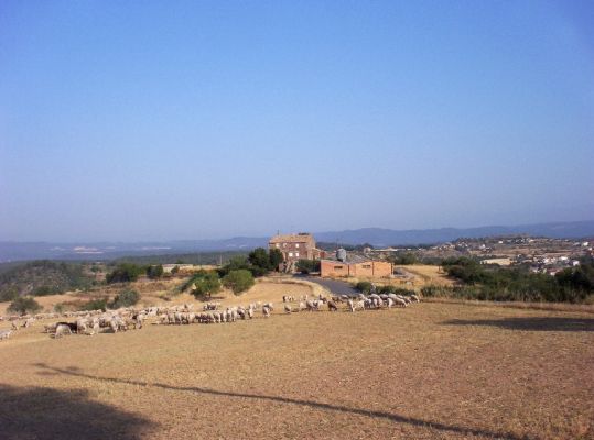 Premi aqui per a veure la imatge a grand�ria completa