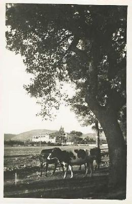 Premi aqui per a veure la imatge a grand�ria completa