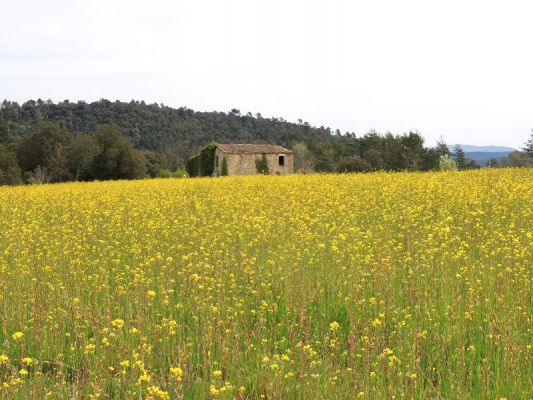 Premi aqui per a veure la imatge a grand�ria completa