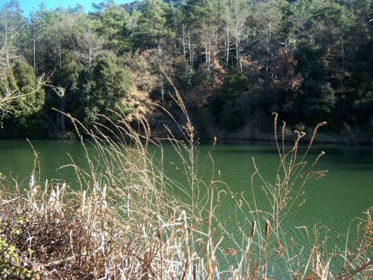 Premi aqui per a veure la imatge a grand�ria completa