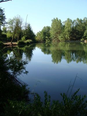 Premi aqui per a veure la imatge a grand�ria completa