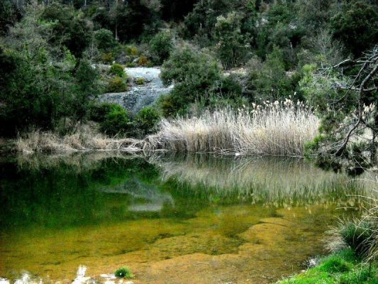 Premi aqui per a veure la imatge a grand�ria completa