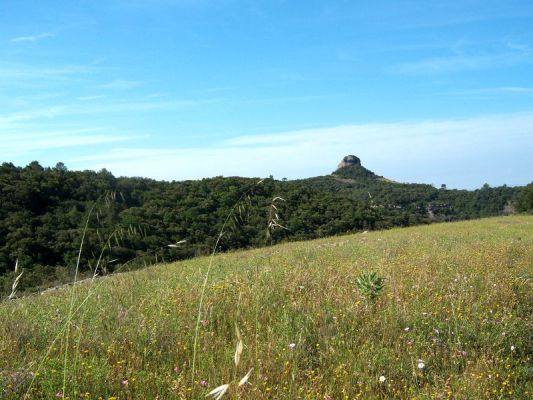 Premi aqui per a veure la imatge a grand�ria completa