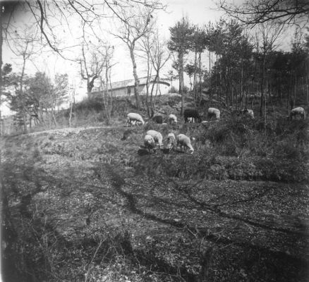 Premi aqui per a veure la imatge a grand�ria completa