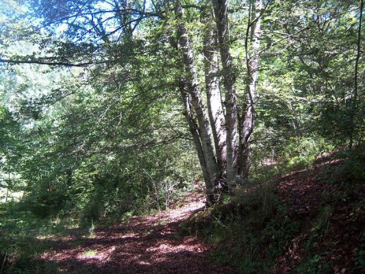 Premi aqui per a veure la imatge a grand�ria completa