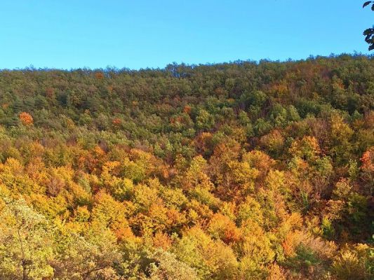 Premi aqui per a veure la imatge a grand�ria completa