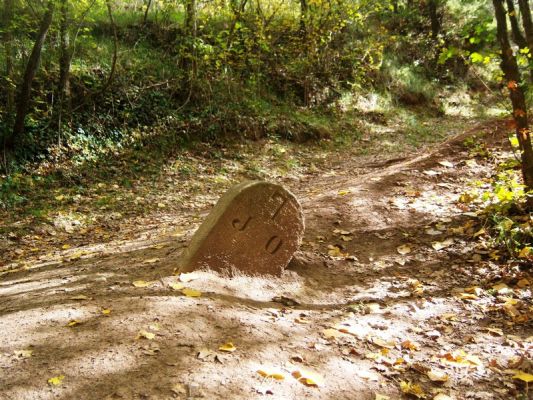 Premi aqui per a veure la imatge a grand�ria completa