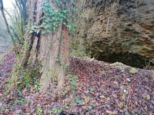 Premi aqui per a veure la imatge a grand�ria completa