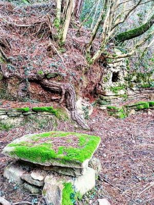 Premi aqui per a veure la imatge a grand�ria completa