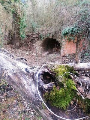 Premi aqui per a veure la imatge a grand�ria completa