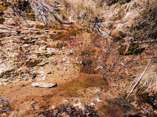 Premi aqui per a veure la imatge a grand�ria completa