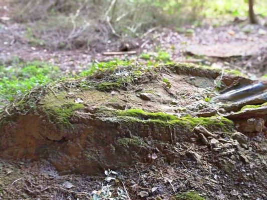 Premi aqui per a veure la imatge a grand�ria completa