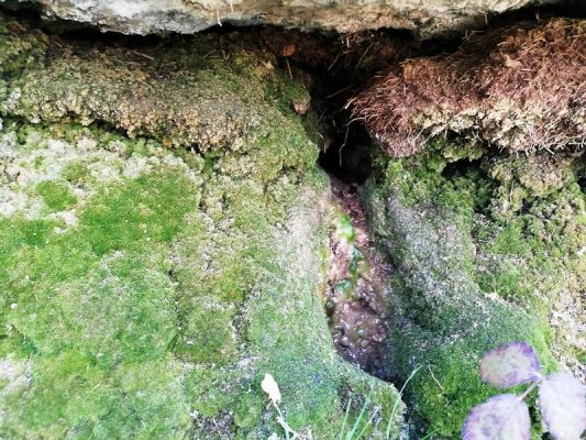 Premi aqui per a veure la imatge a grand�ria completa