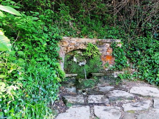 Premi aqui per a veure la imatge a grand�ria completa