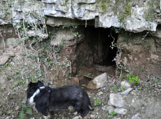 Premi aqui per a veure la imatge a grand�ria completa