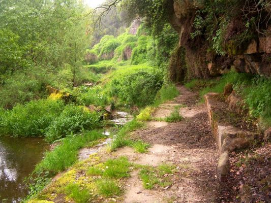 Premi aqui per a veure la imatge a grand�ria completa