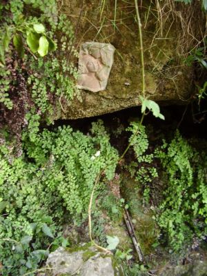 Premi aqui per a veure la imatge a grand�ria completa