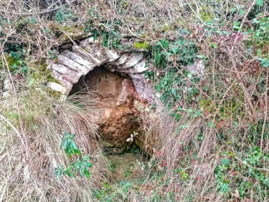 Premi aqui per a veure la imatge a grand�ria completa