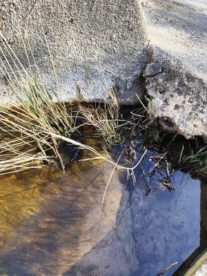 Premi aqui per a veure la imatge a grand�ria completa