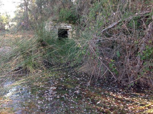 Premi aqui per a veure la imatge a grand�ria completa