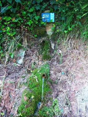 Premi aqui per a veure la imatge a grand�ria completa