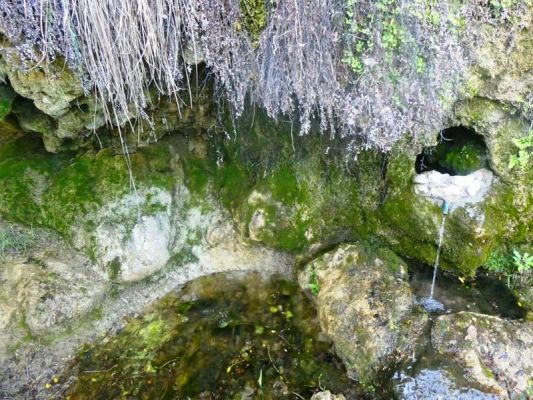 Premi aqui per a veure la imatge a grand�ria completa