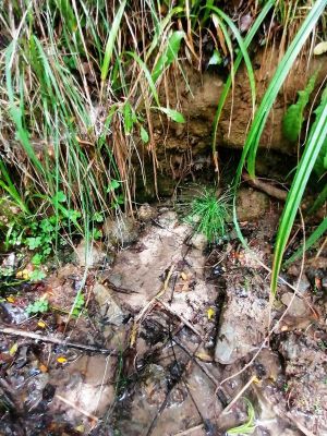 Premi aqui per a veure la imatge a grand�ria completa