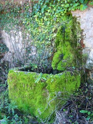 Premi aqui per a veure la imatge a grand�ria completa