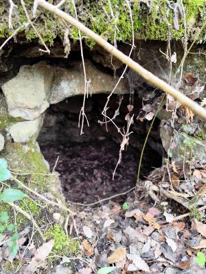 Premi aqui per a veure la imatge a grand�ria completa