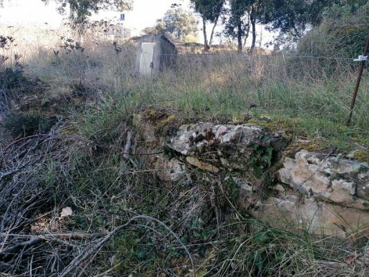 Premi aqui per a veure la imatge a grand�ria completa