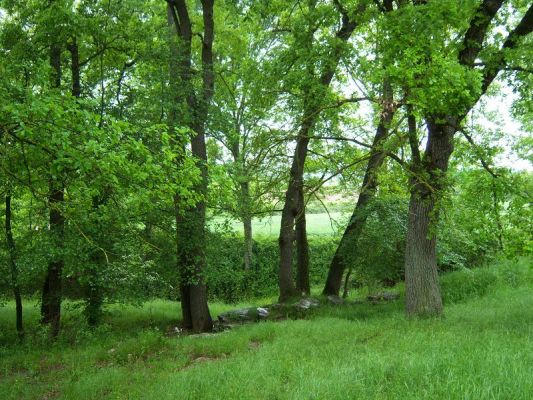 Premi aqui per a veure la imatge a grand�ria completa