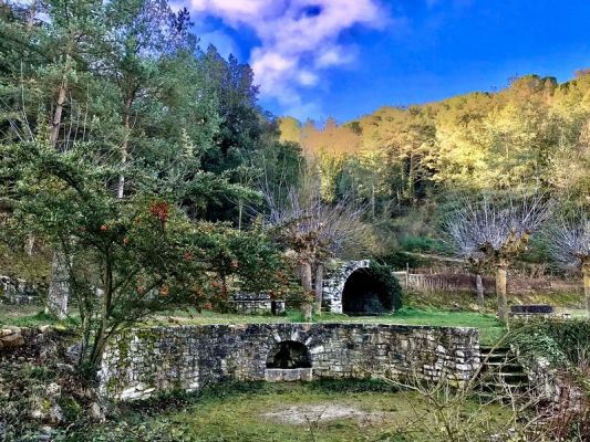 Premi aqui per a veure la imatge a grand�ria completa