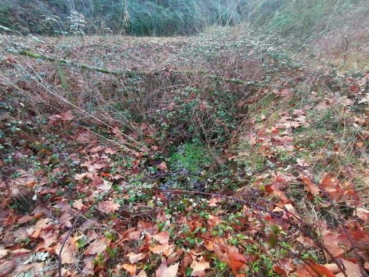 Premi aqui per a veure la imatge a grand�ria completa