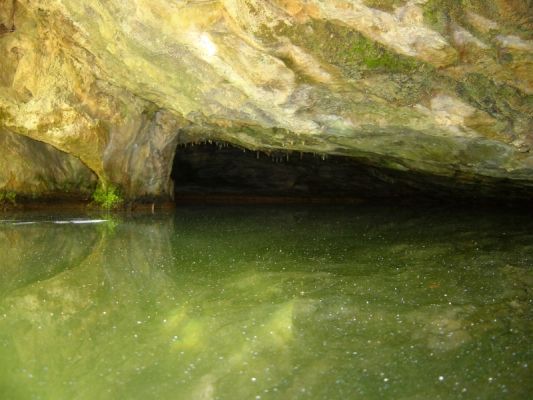 Premi aqui per a veure la imatge a grand�ria completa