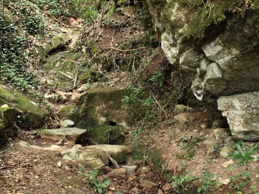 Premi aqui per a veure la imatge a grand�ria completa