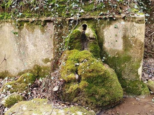 Premi aqui per a veure la imatge a grand�ria completa