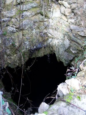 Premi aqui per a veure la imatge a grand�ria completa